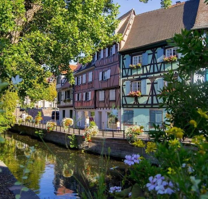 At Home In The Center Of Colmar Exteriör bild